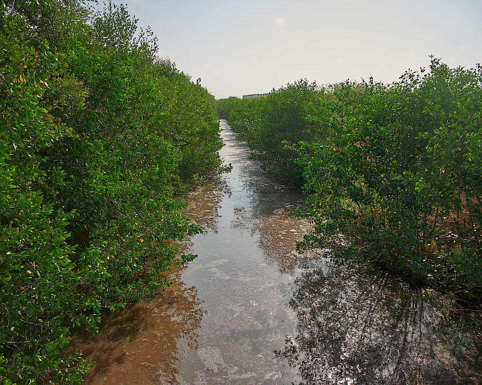 Canal Chamaría