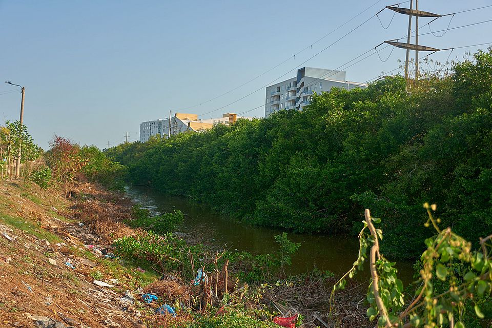 Canal Calicanto