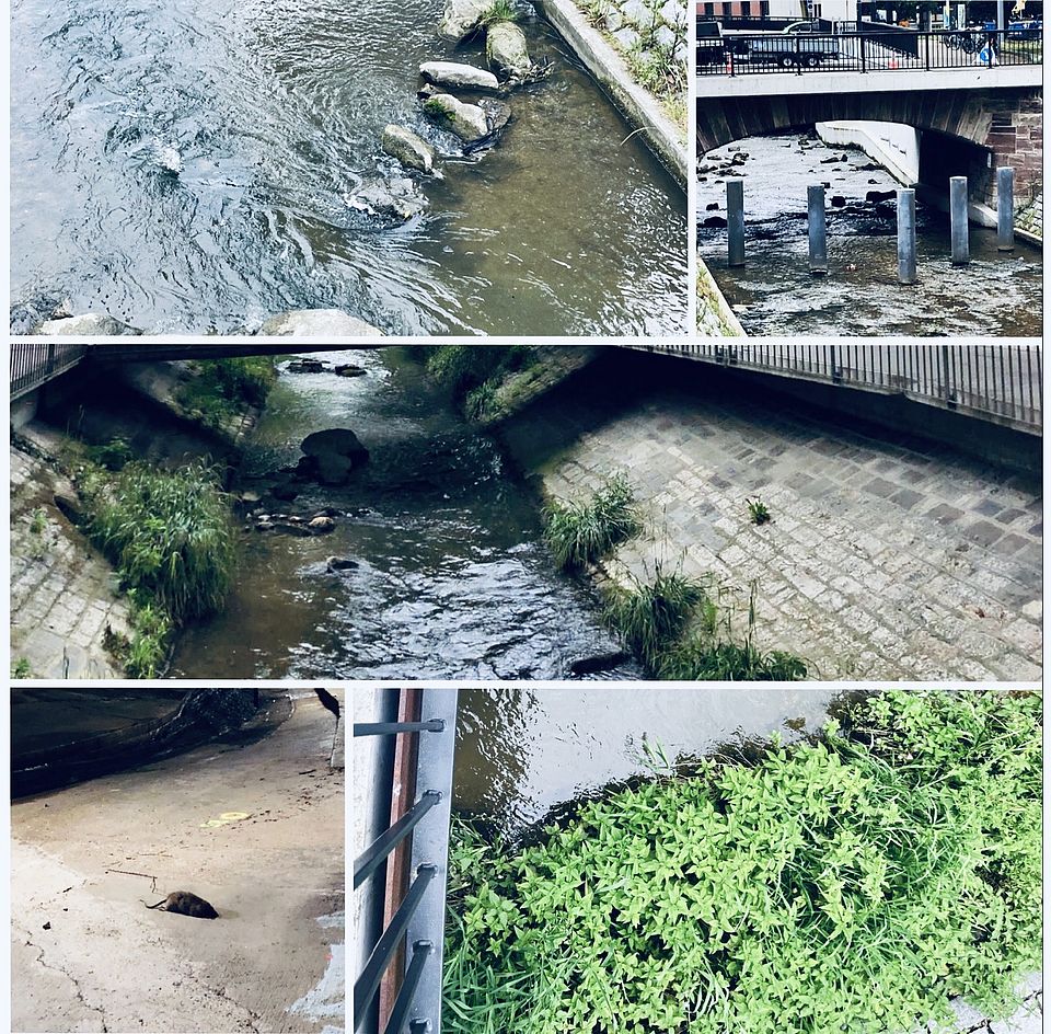 Collages fotográficos de mundos acuáticos urbanos, Basilea, Suiza 