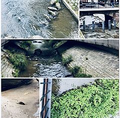 Urban waterworlds photos collages, Basel, Switzerland 