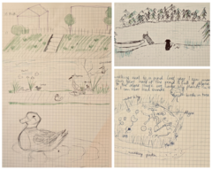Drawings of urban Waterworlds