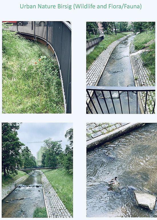 Urban waterworlds photos collages, Basel, Switzerland 