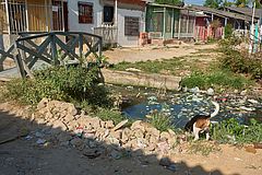 Canal Matute